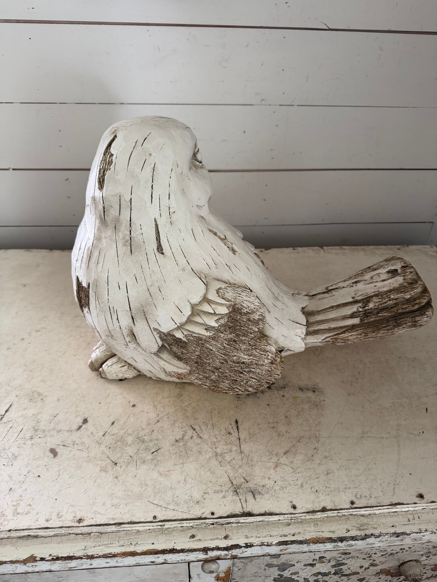Large Garden Bird