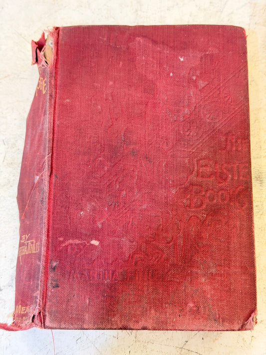 Elsie Dinsmore Book by Martha Finley - Will get binding repaired