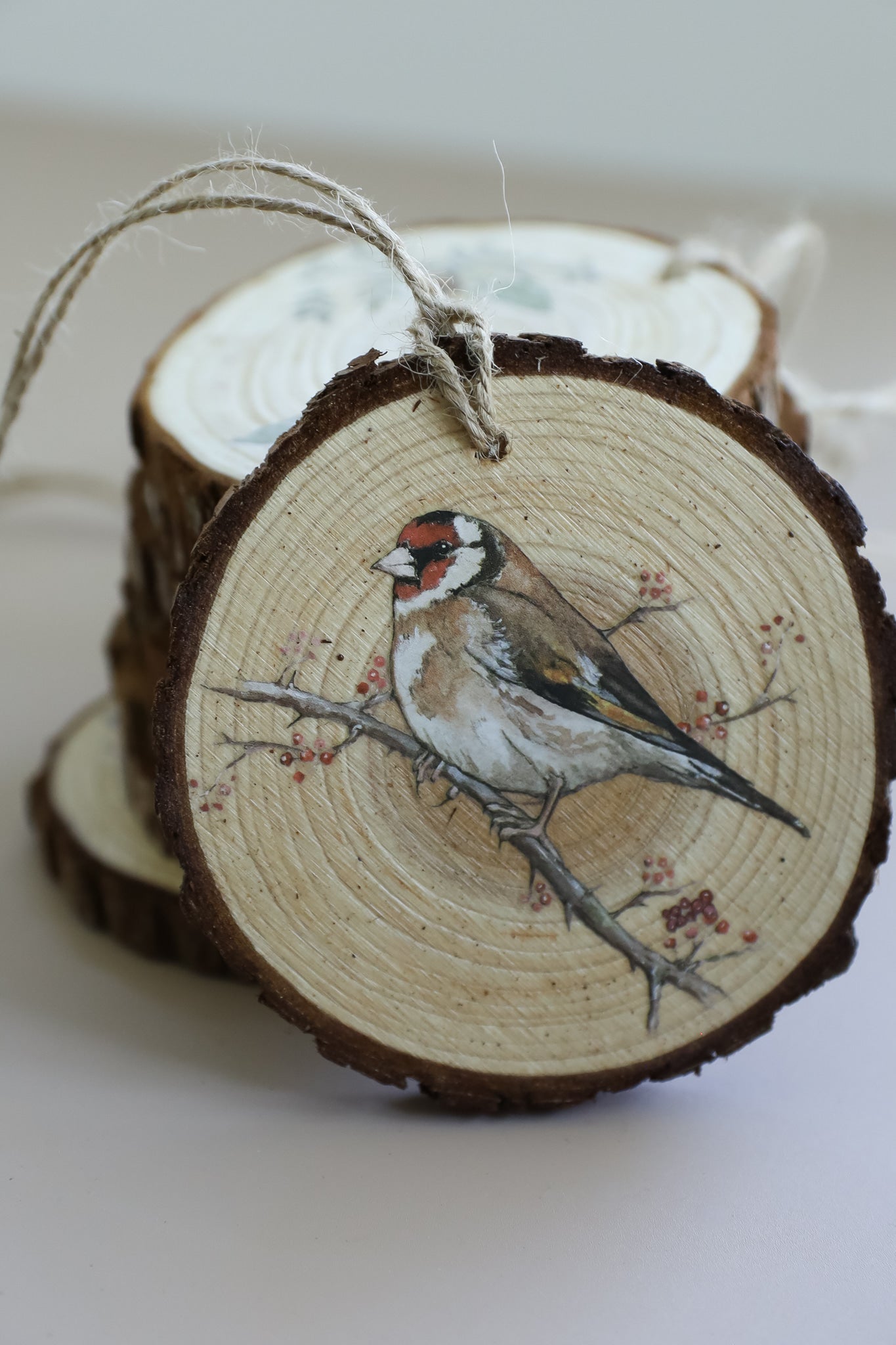 The Bramblewood Diaries | Transfer | IOD Iron Orchid Designs
