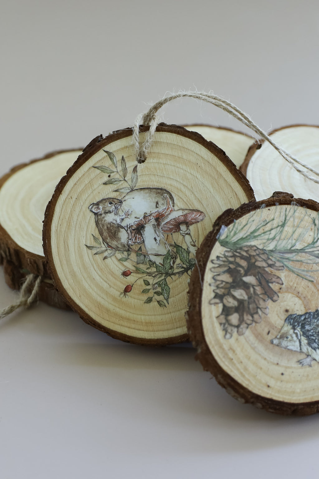 The Bramblewood Diaries | Transfer | IOD Iron Orchid Designs