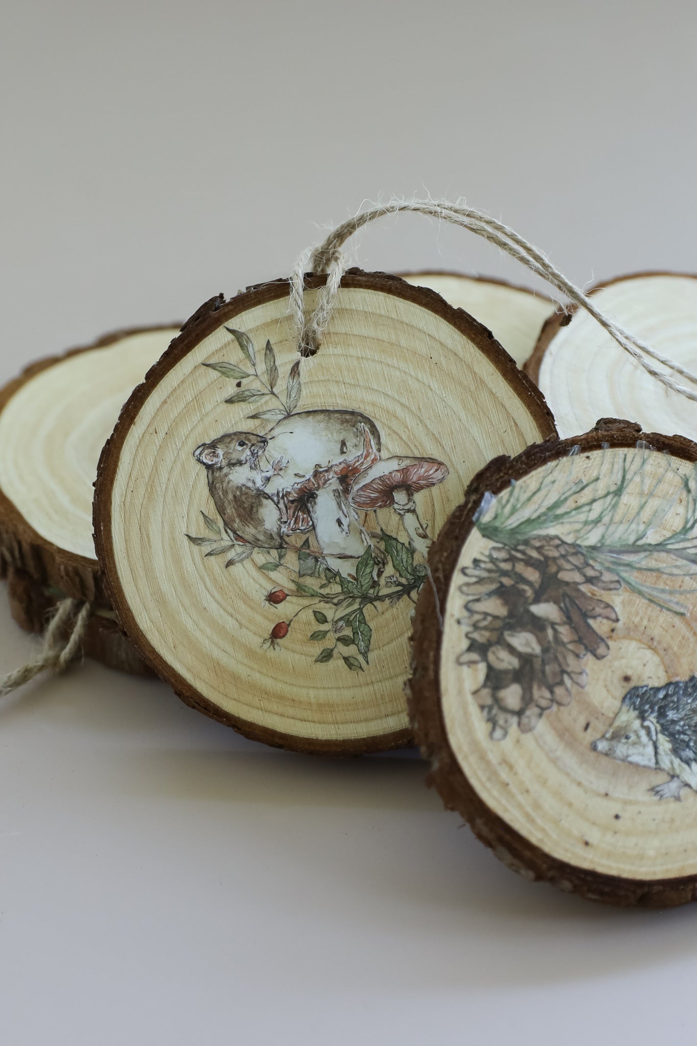 The Bramblewood Diaries | Transfer | IOD Iron Orchid Designs