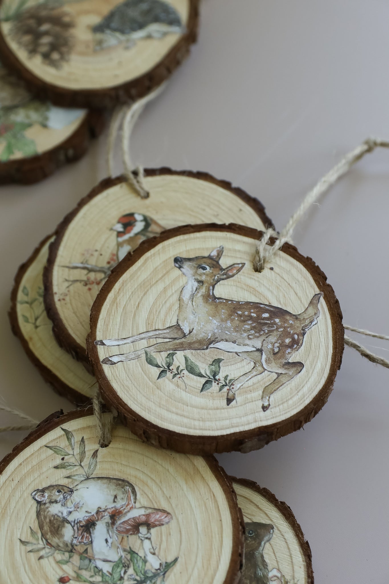 The Bramblewood Diaries | Transfer | IOD Iron Orchid Designs