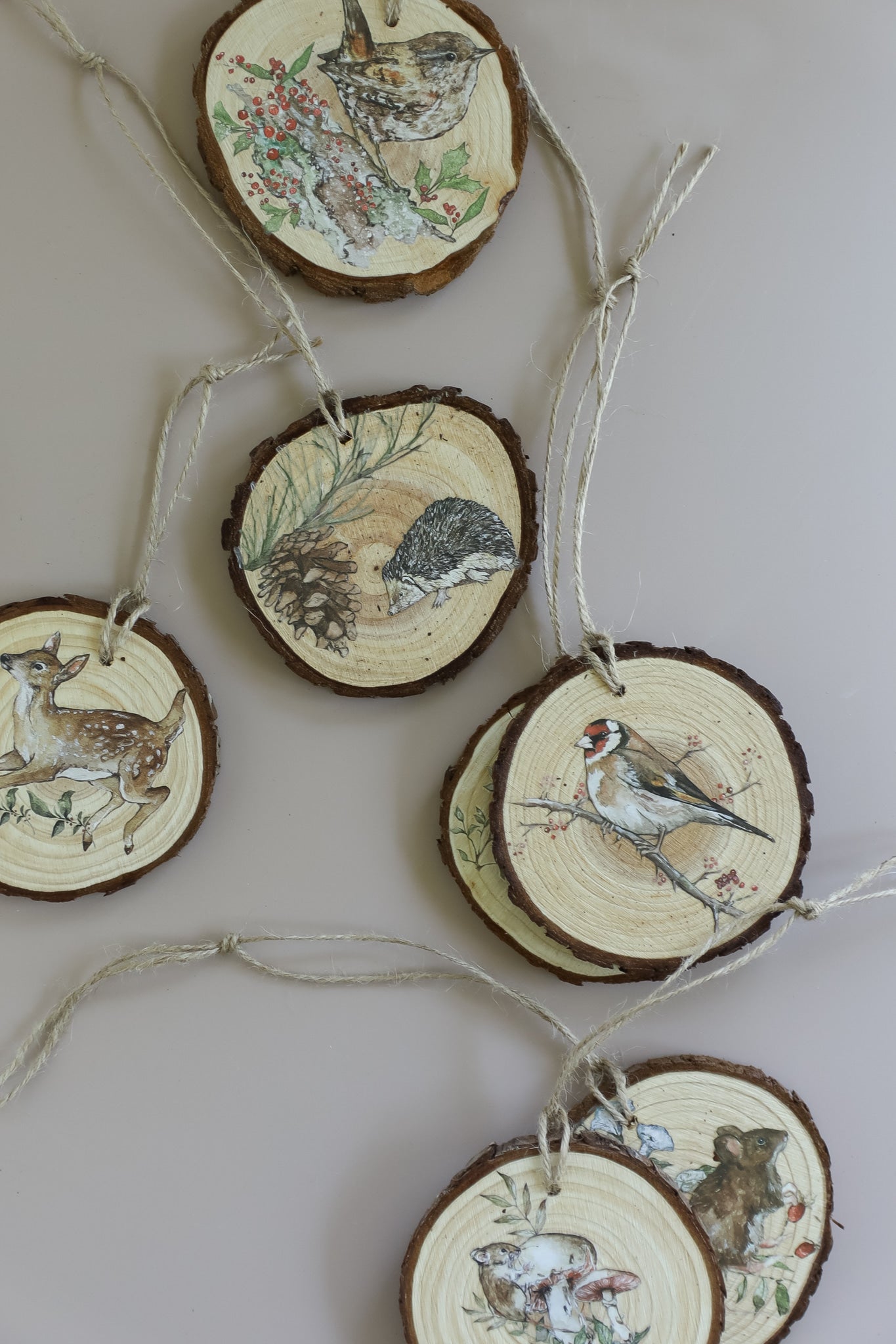 The Bramblewood Diaries | Transfer | IOD Iron Orchid Designs