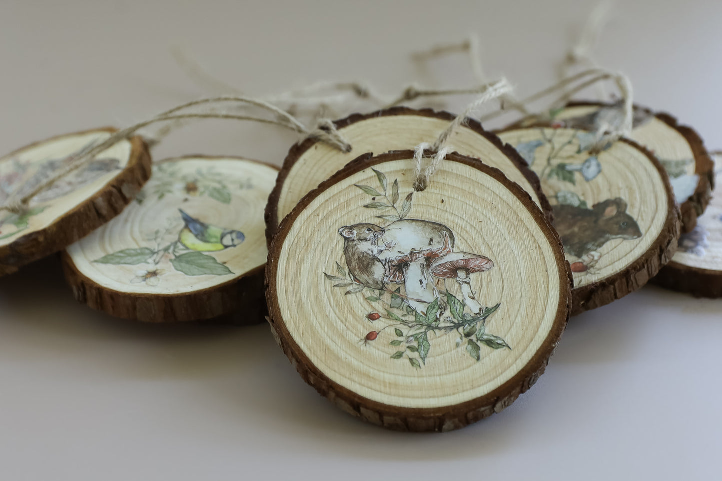 The Bramblewood Diaries | Transfer | IOD Iron Orchid Designs