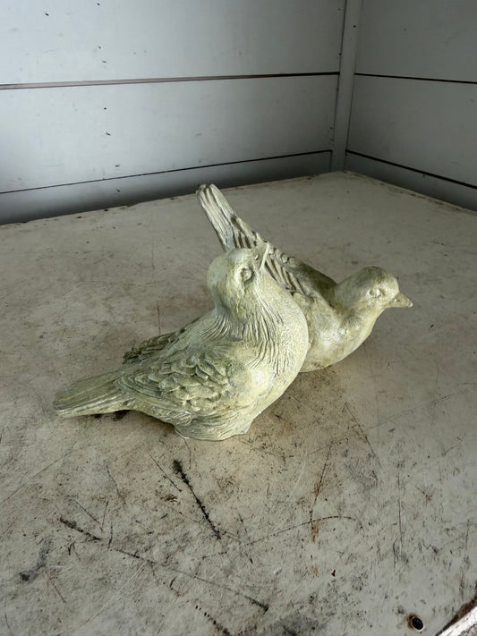 Set of birds will get makeover