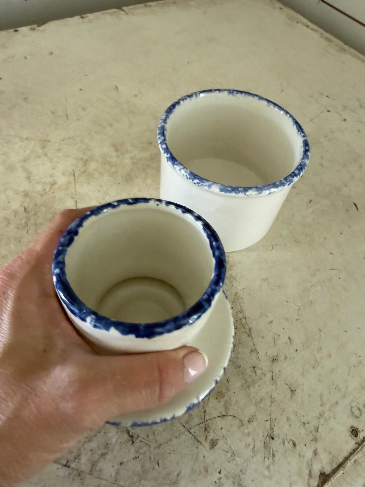 White with blue sponge wear birdhouse French butter crock