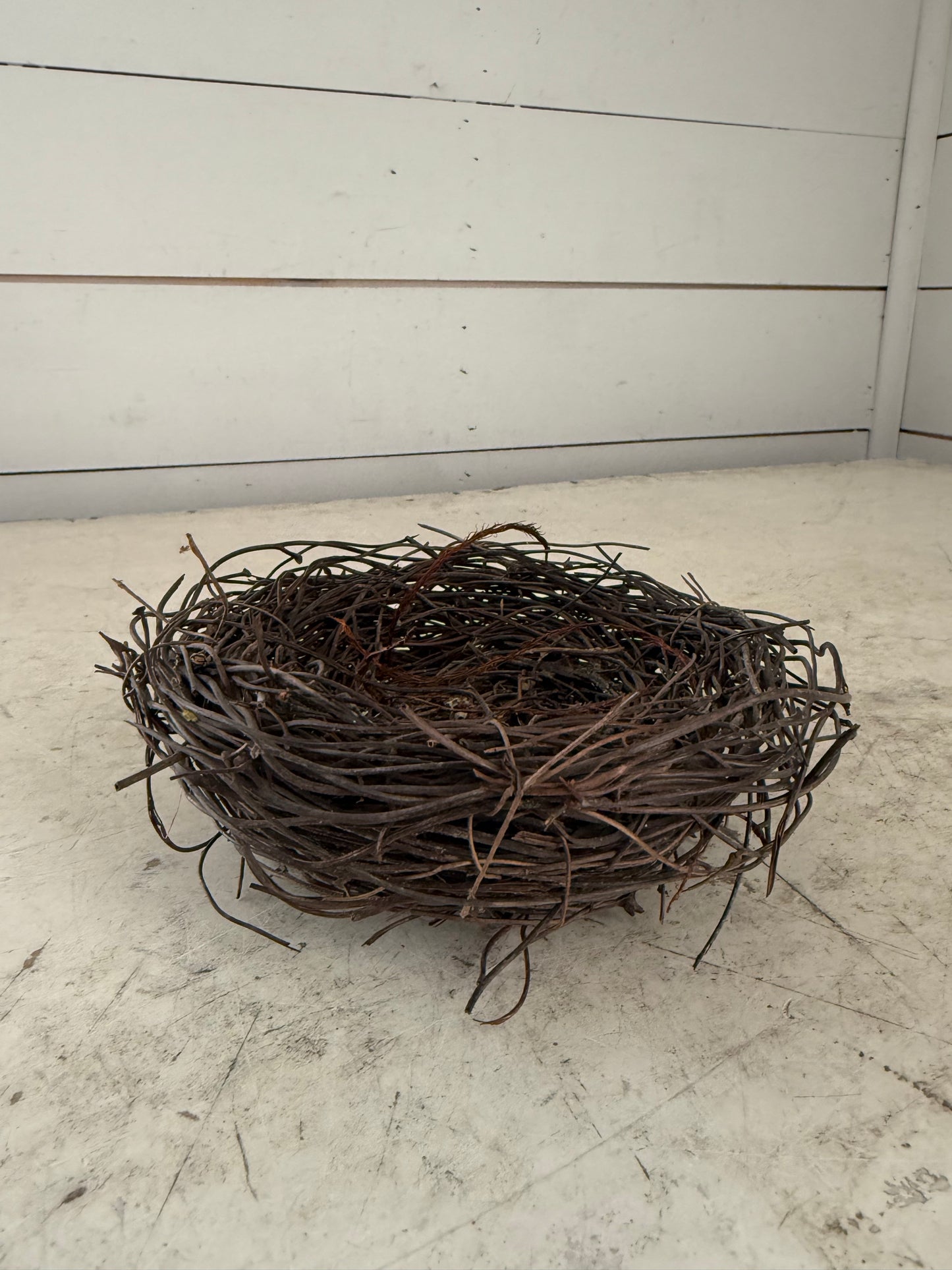 Birds Nest for Decor