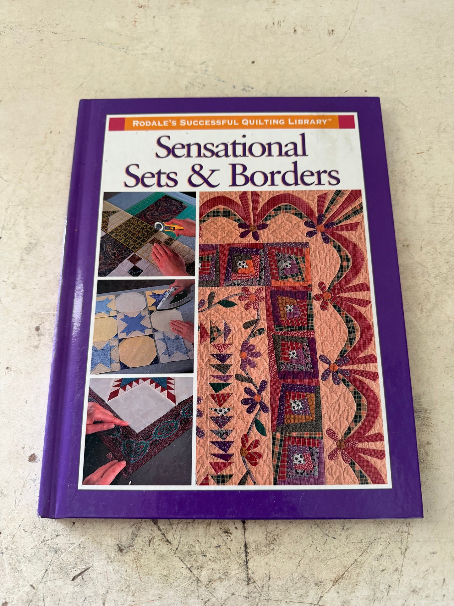 Sensational Sets and Borders by Sally Schneider