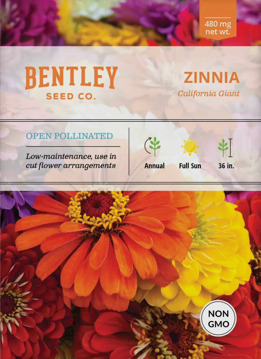 Bentley Seeds