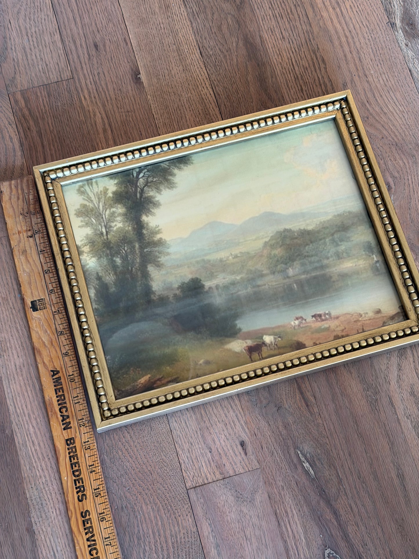 11x14 Cows in Pasture Print in Ornate Gold Painted Frame