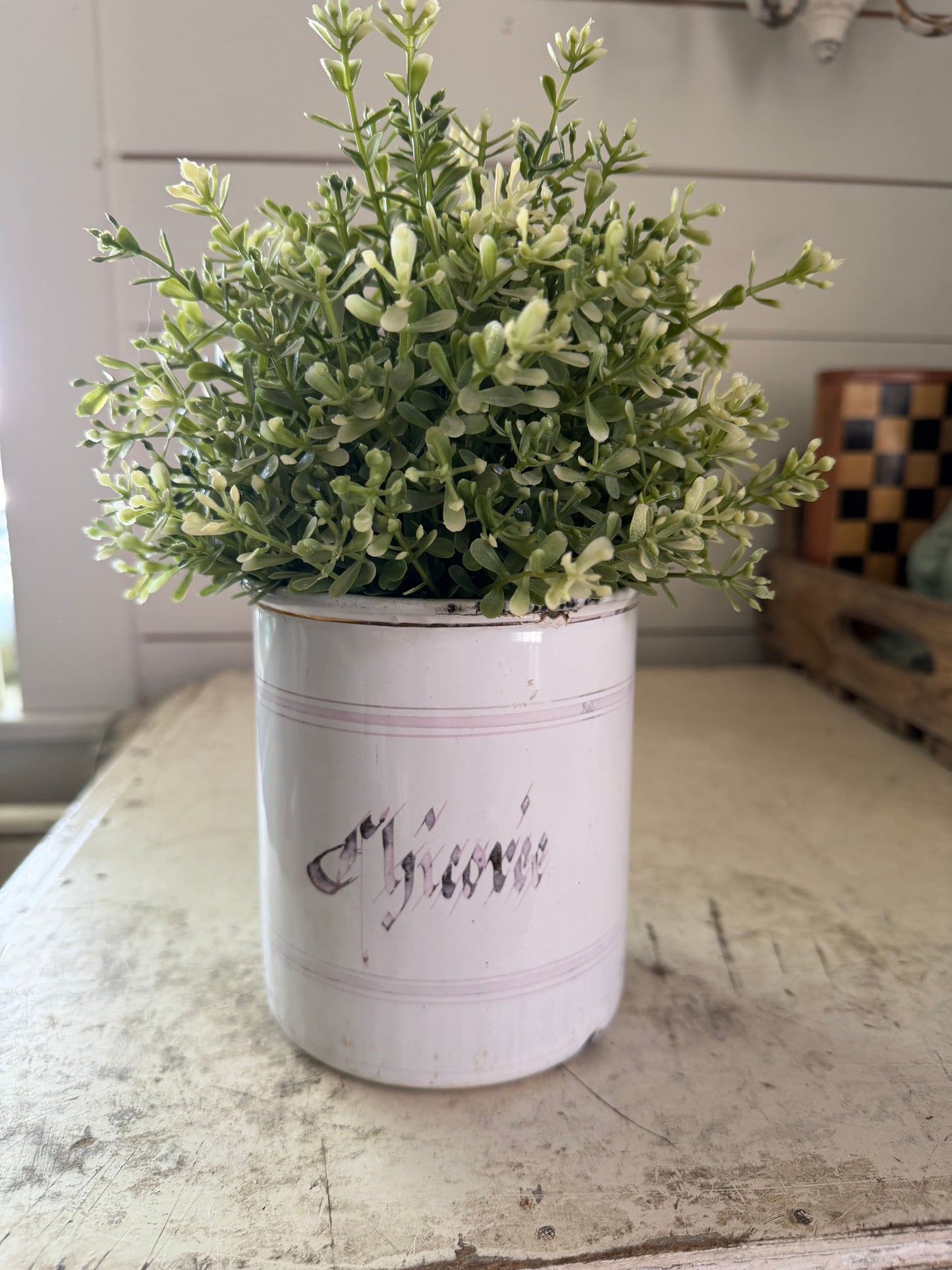 Antique French white enameled canister with aqua lettering, enameled pot with lid Chicoree - greenery not included