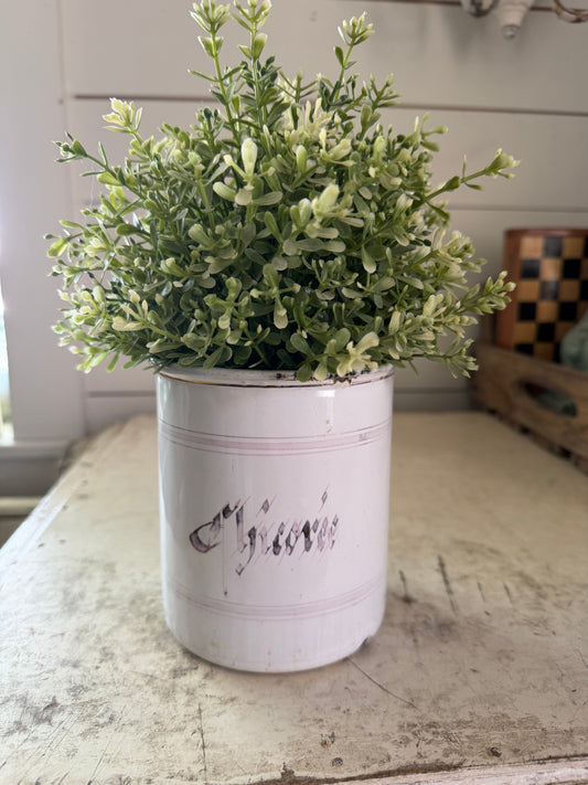 Antique French white enameled canister with aqua lettering, enameled pot with lid Chicoree - greenery not included