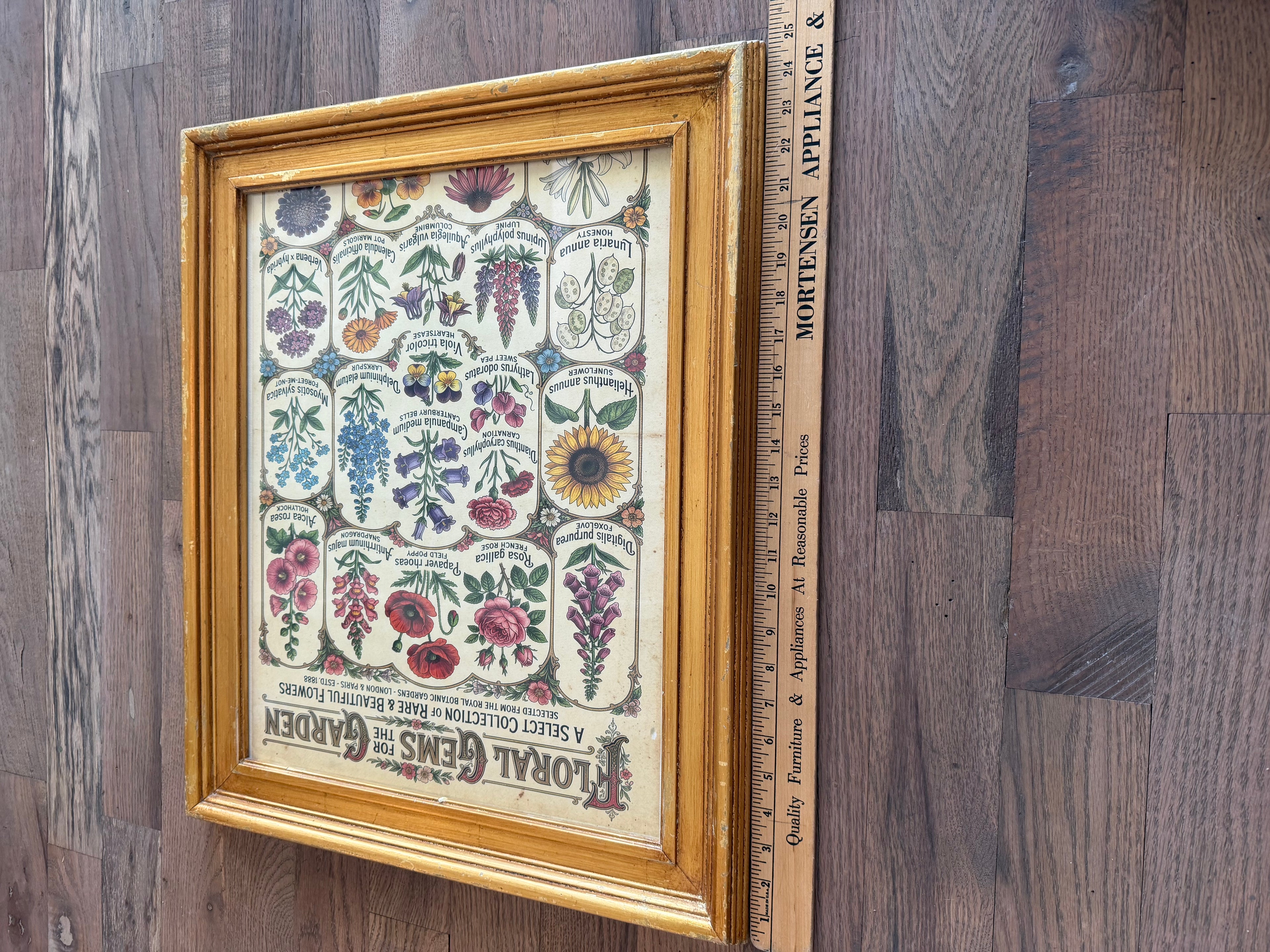 Large Wood gold colored frame with Floral Gems of the Garden Print