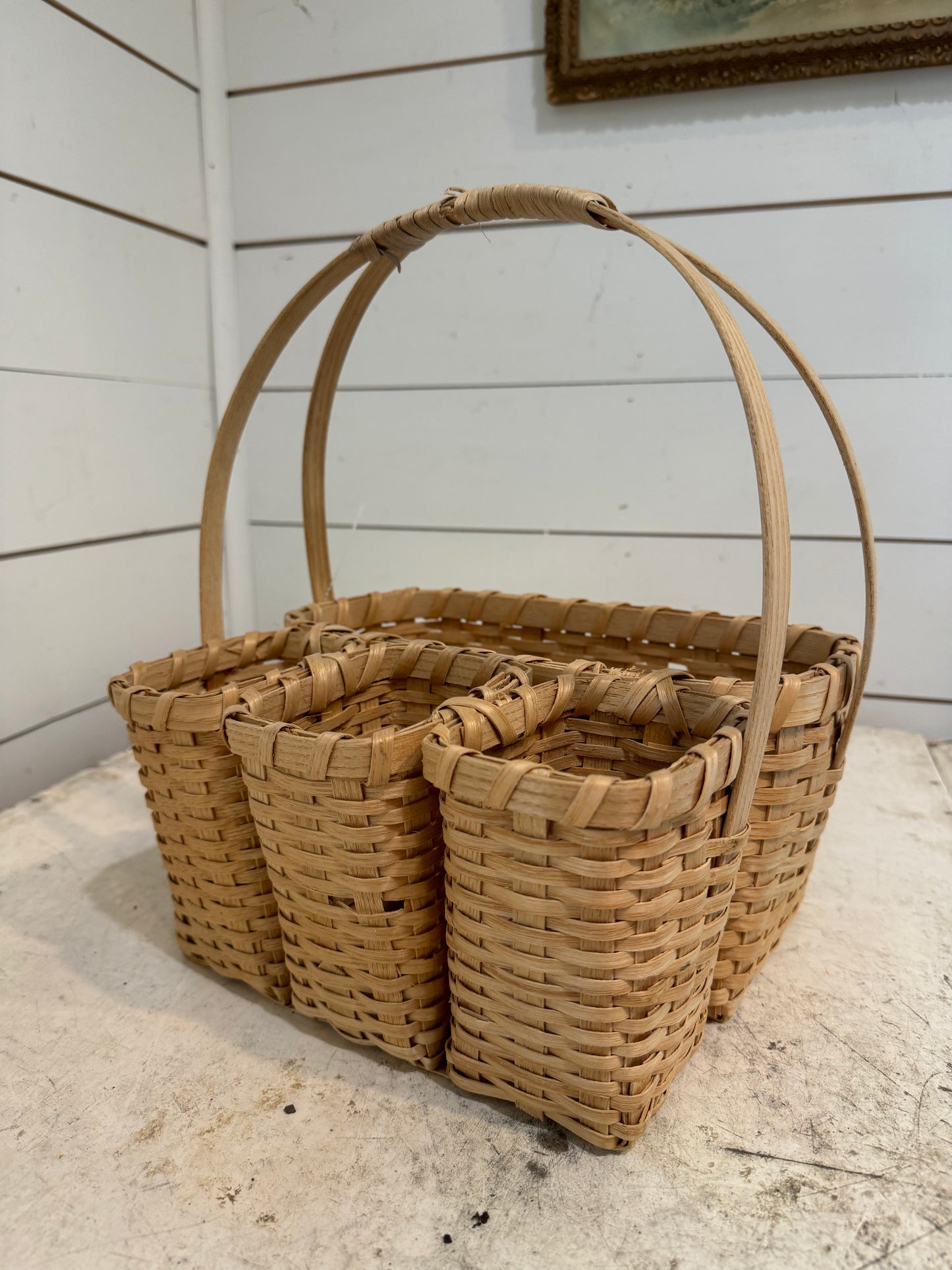 Divided Basket