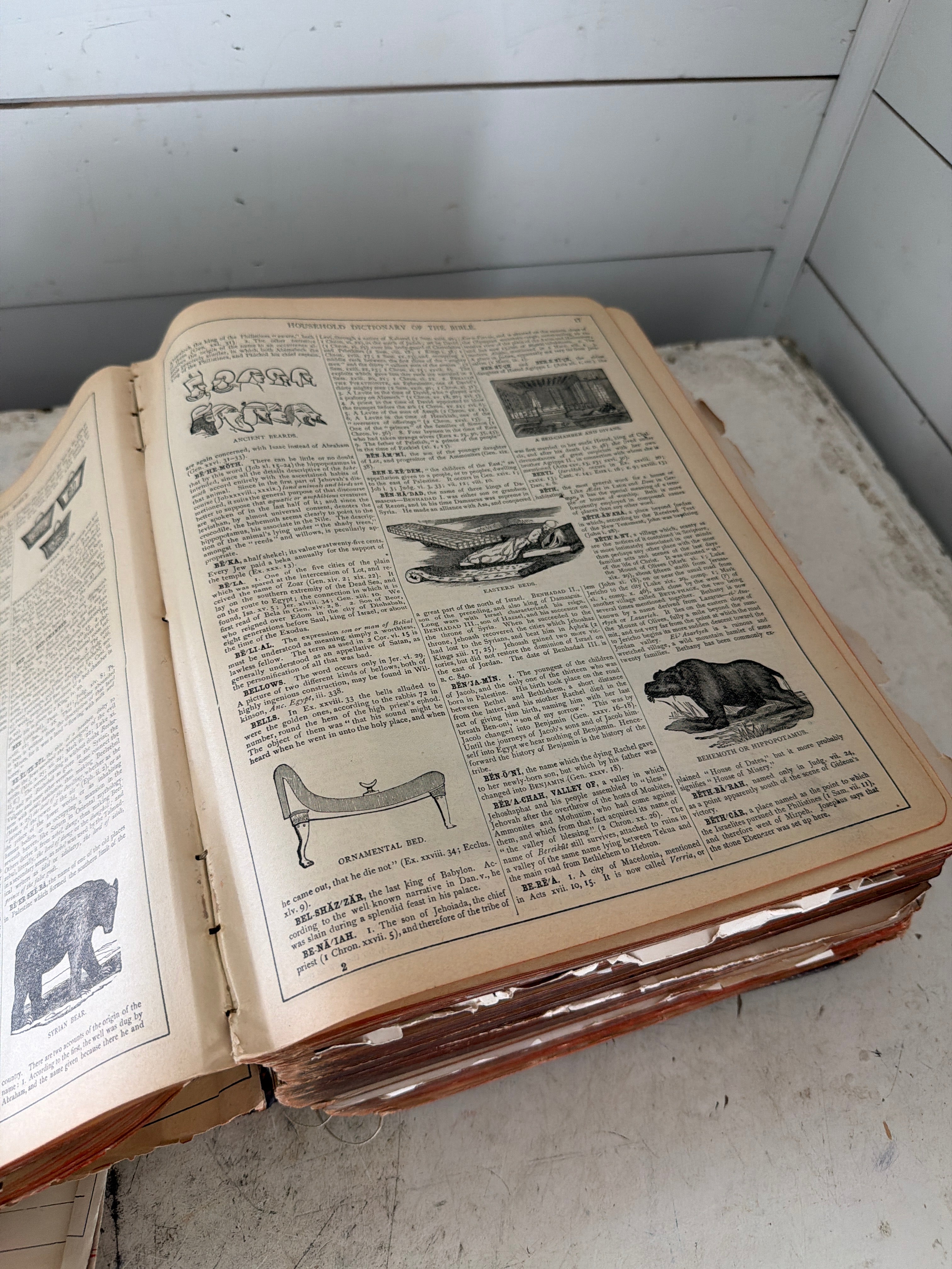 Five pages of 19th century Bible picked at random