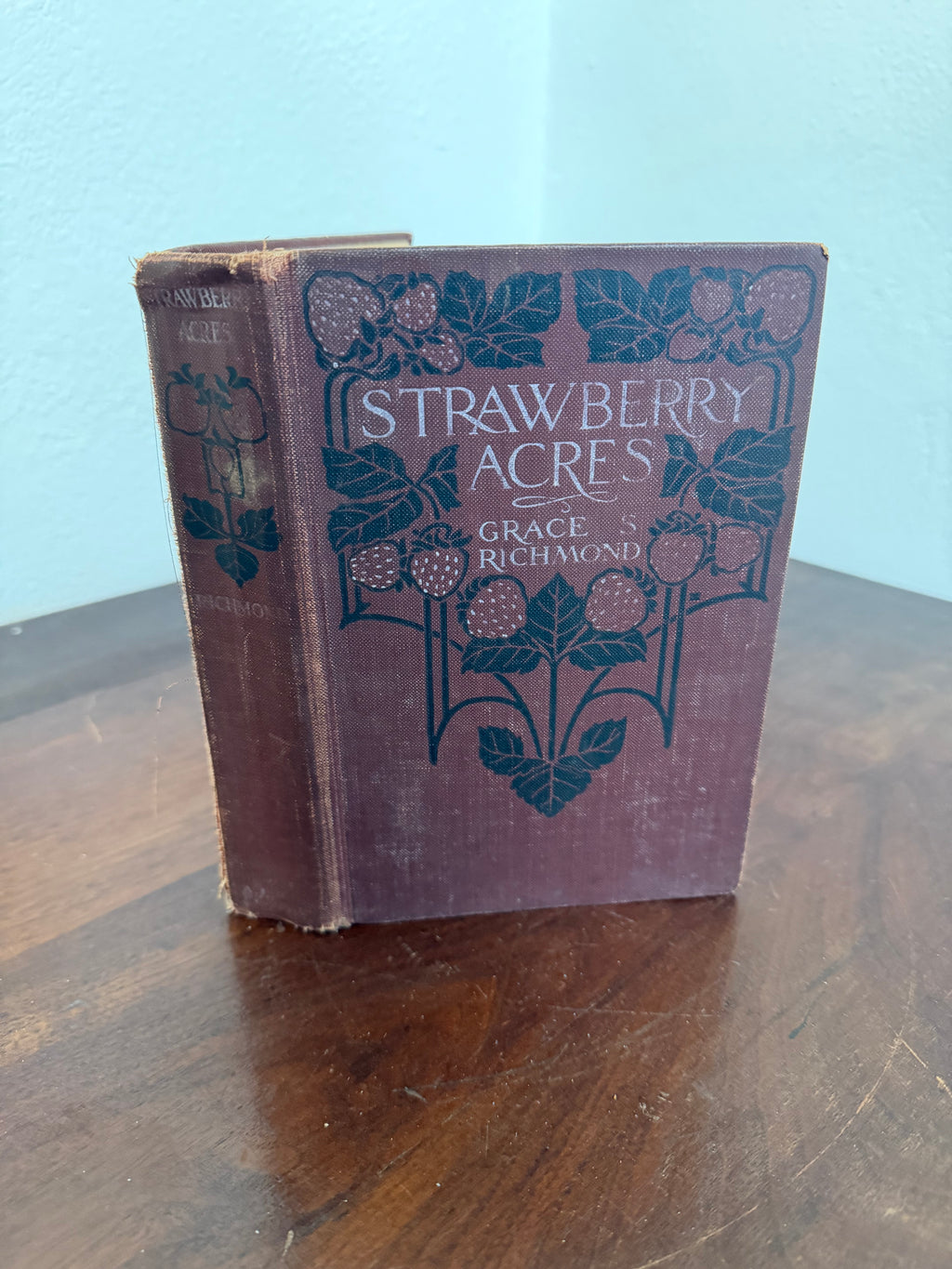 Strawberry Acres - Book