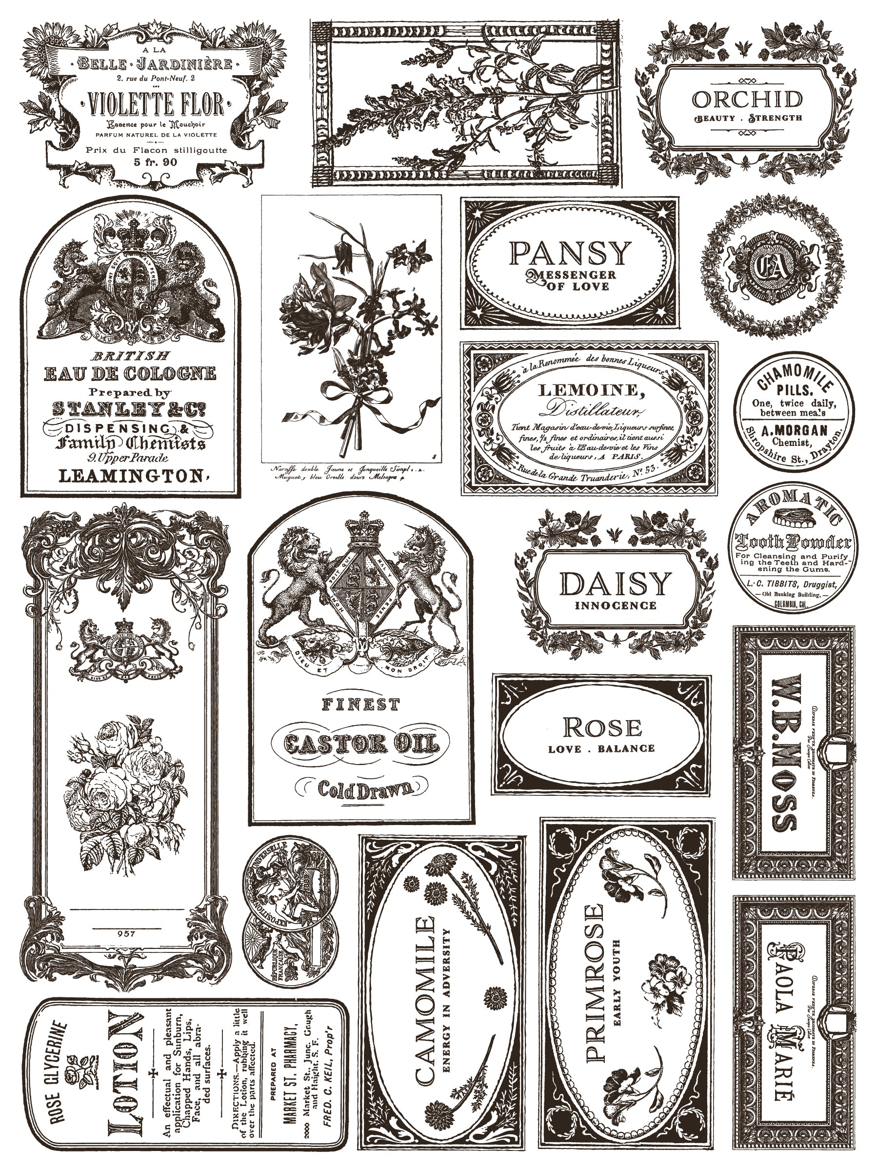 Floriography | Paint Inlay | IOD Iron Orchid Designs