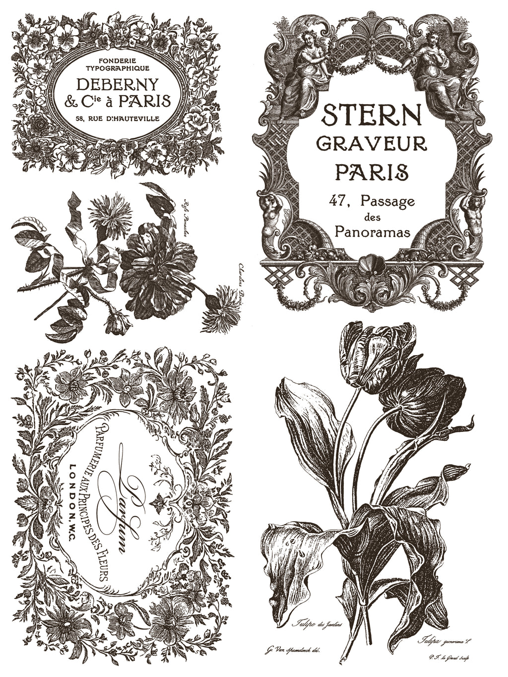 Floriography | Paint Inlay | IOD Iron Orchid Designs