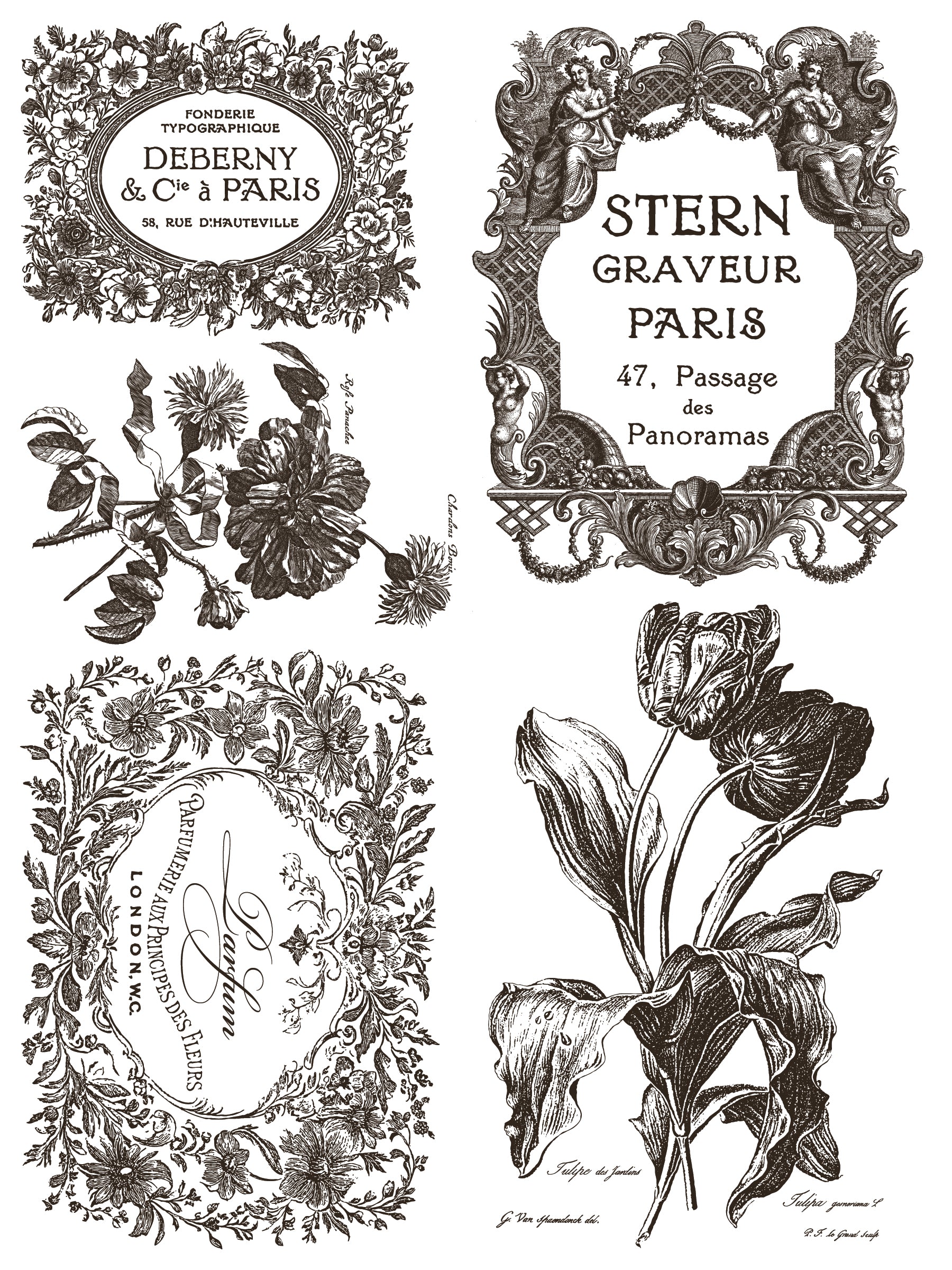 Floriography | Paint Inlay | IOD Iron Orchid Designs