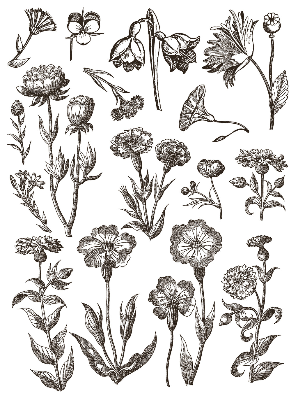 Floriography | Paint Inlay | IOD Iron Orchid Designs