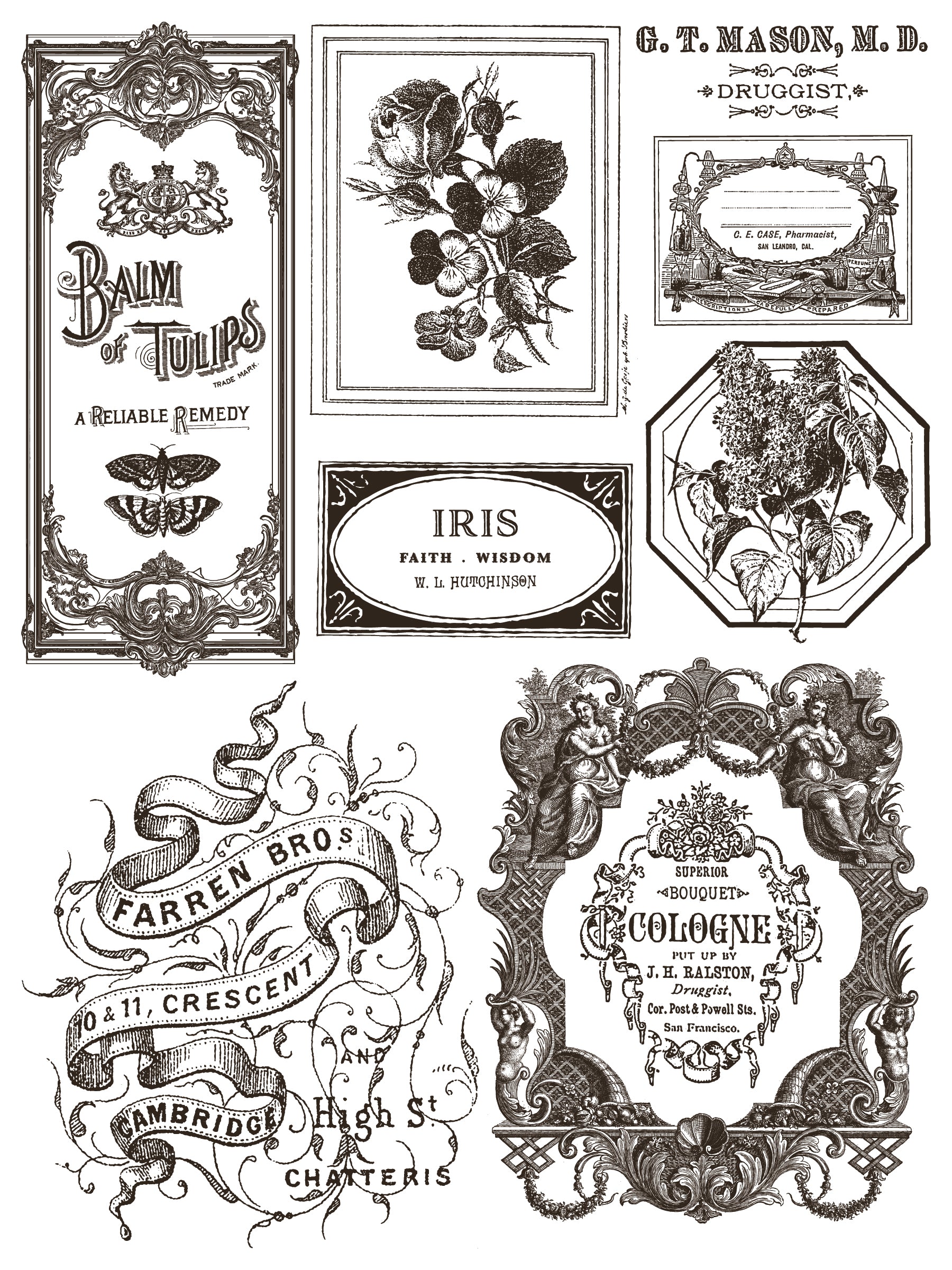 Floriography | Paint Inlay | IOD Iron Orchid Designs