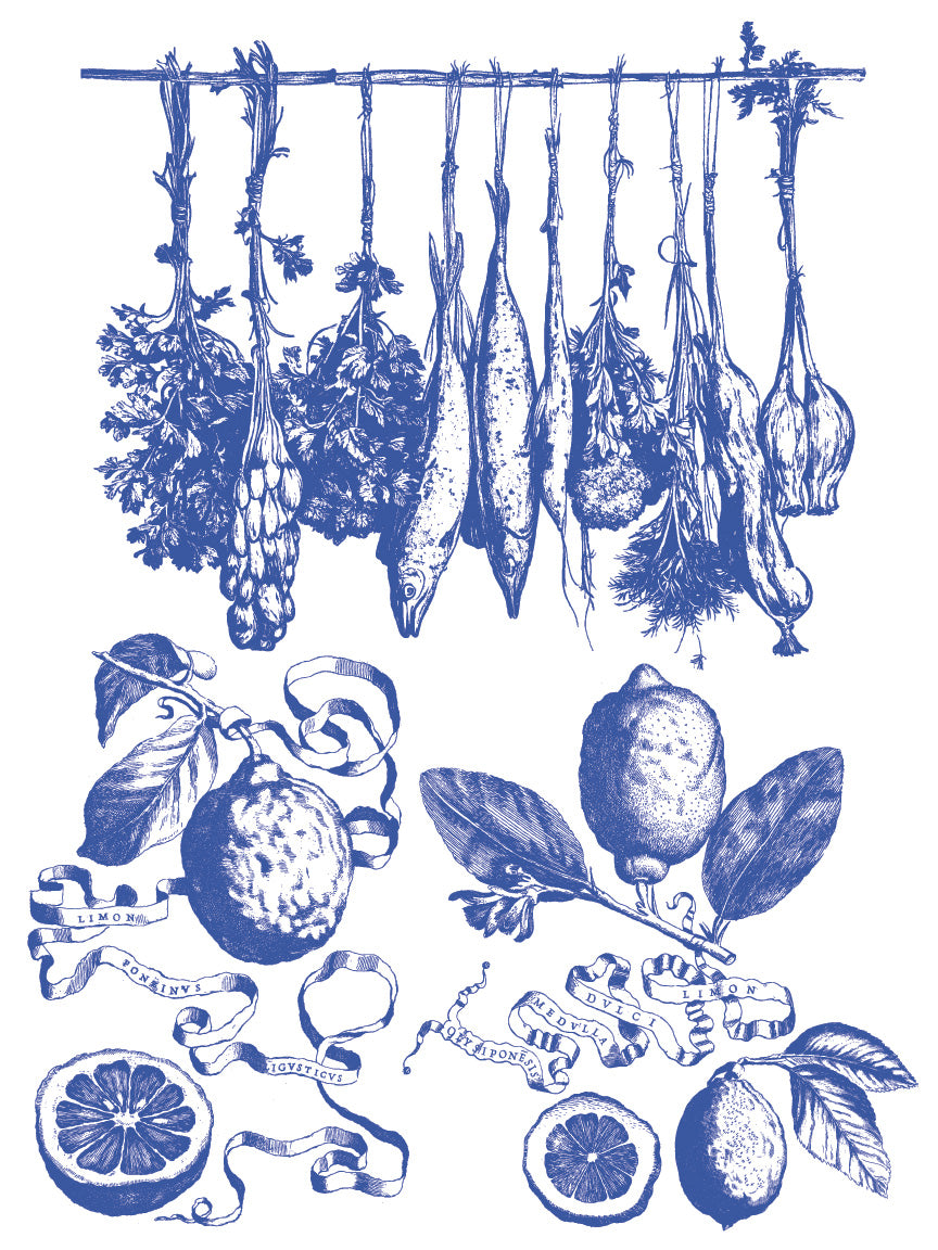 Portofino | Paint Inlay | IOD Iron Orchid Designs
