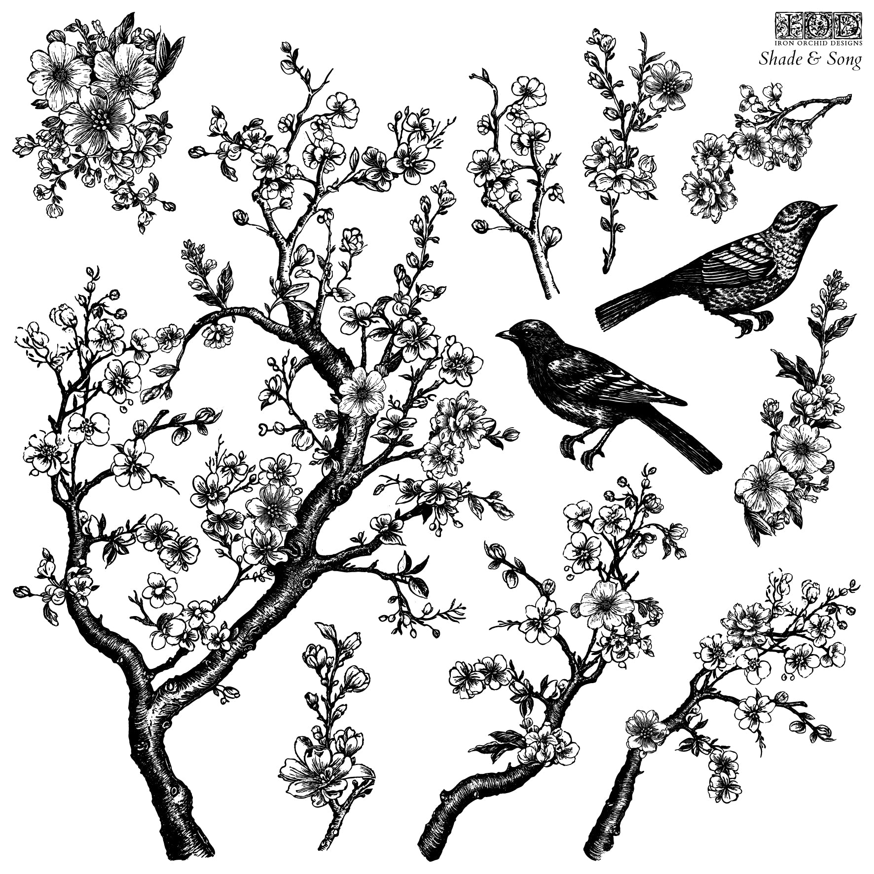 Shade & Song | Stamp | IOD Iron Orchid Designs