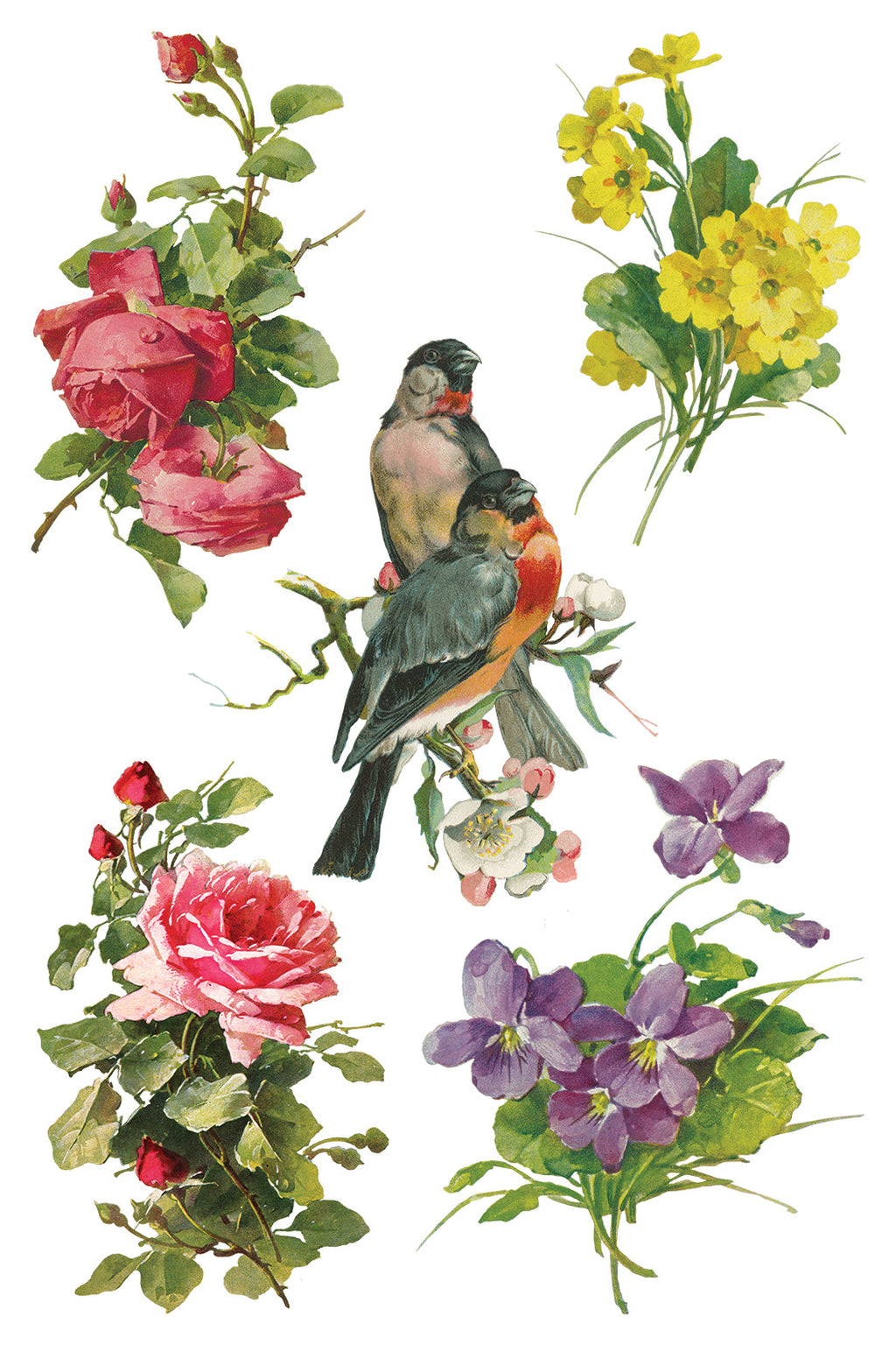 Catharina | Transfer | IOD Iron Orchid Designs