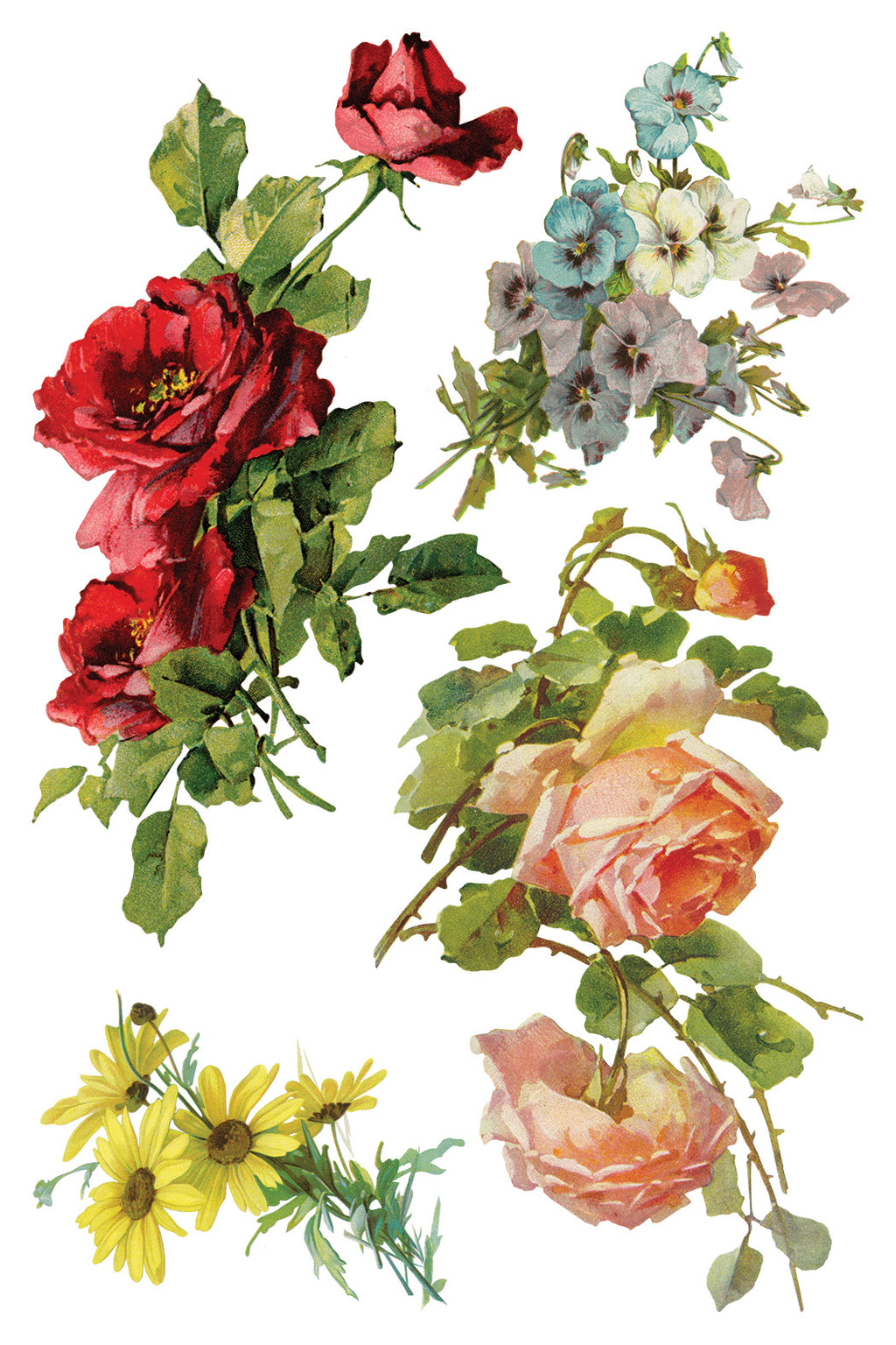 Catharina | Transfer | IOD Iron Orchid Designs