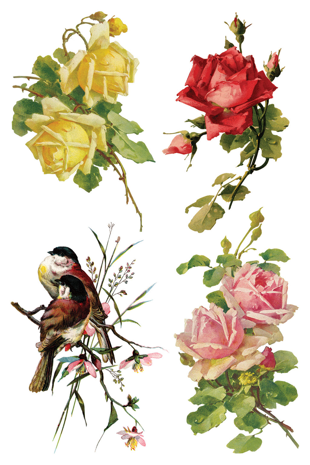 Catharina | Transfer | IOD Iron Orchid Designs