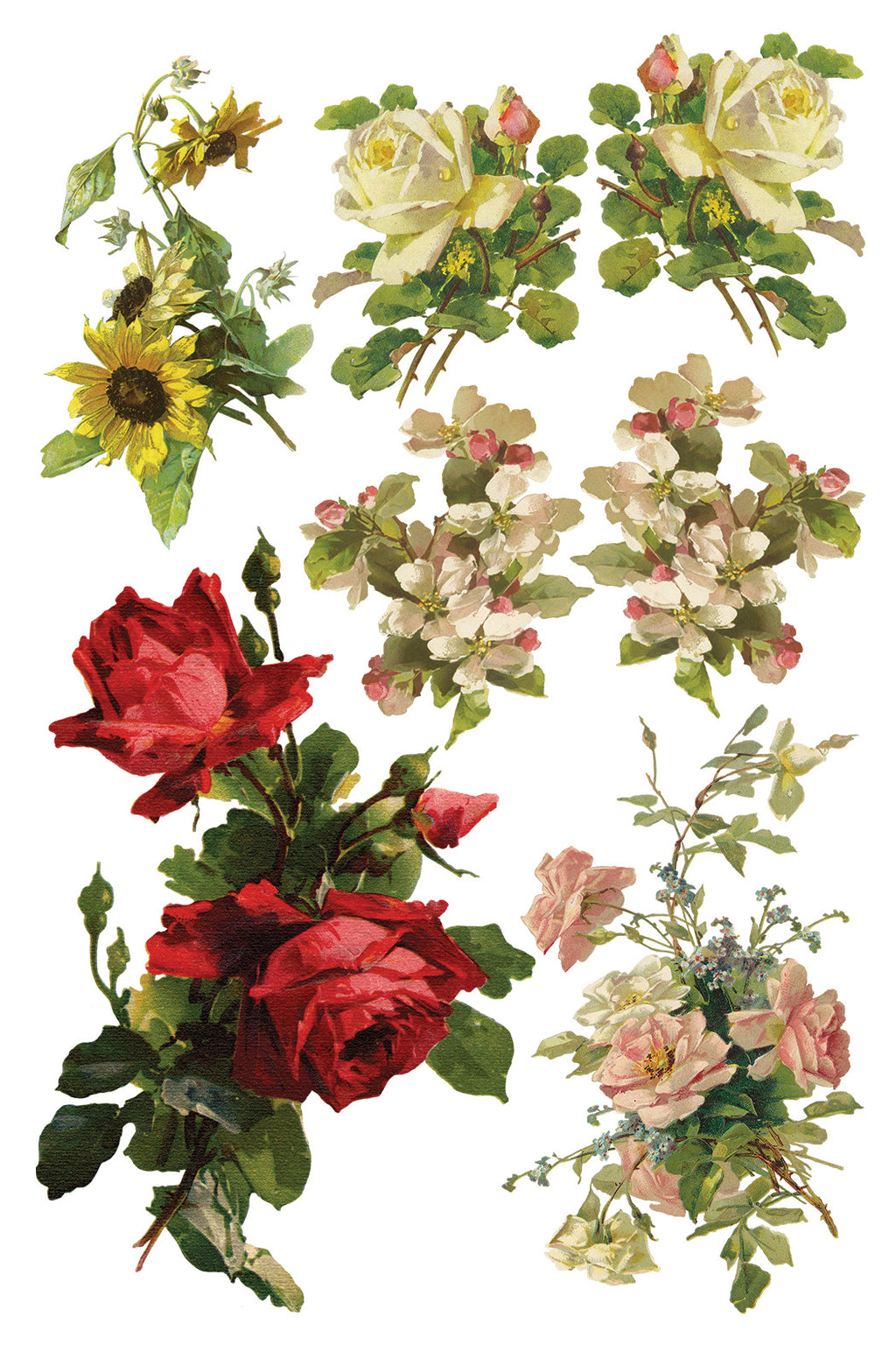 Catharina | Transfer | IOD Iron Orchid Designs