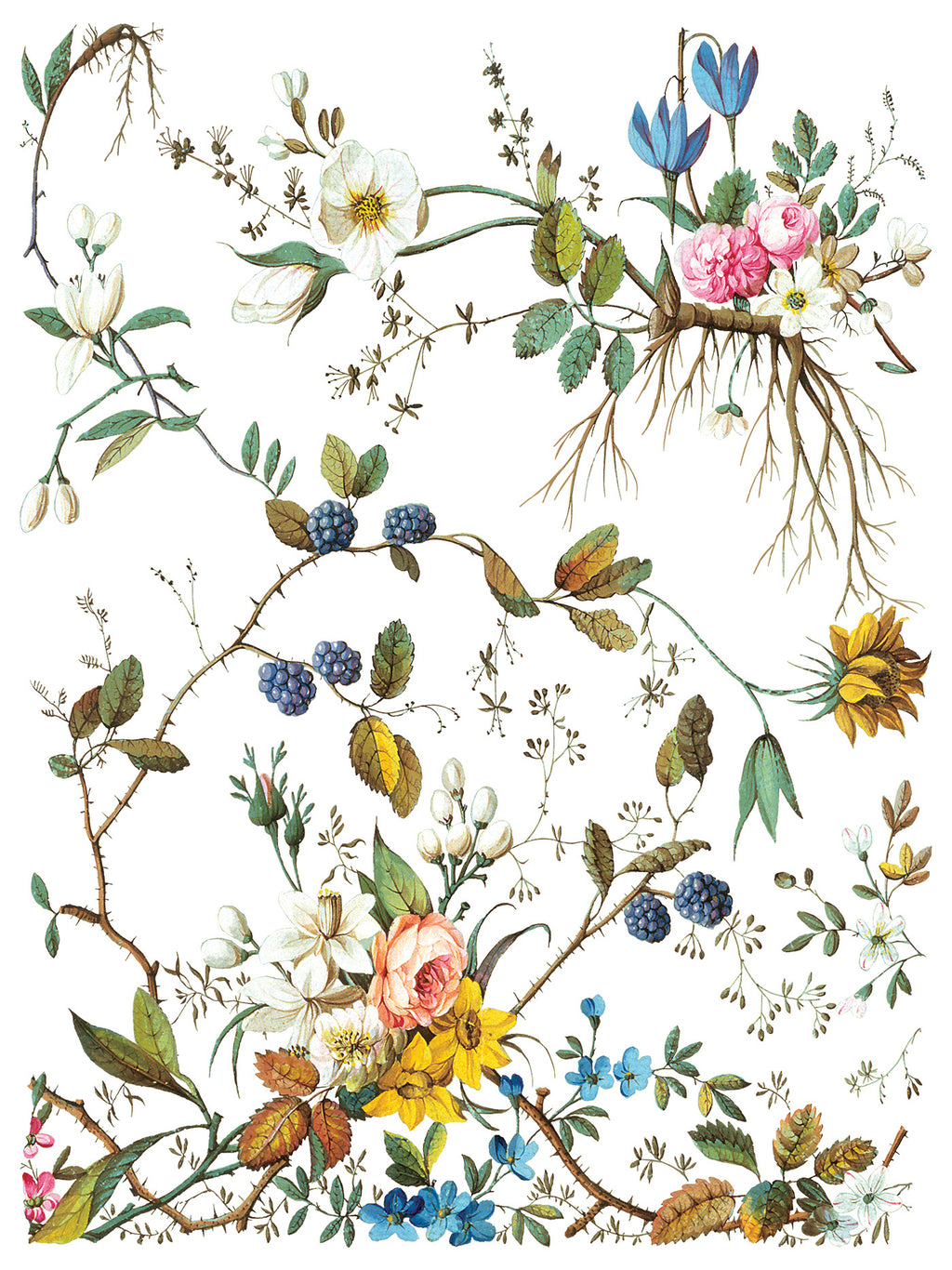 Lost Garden | Transfer | IOD Iron Orchid Designs