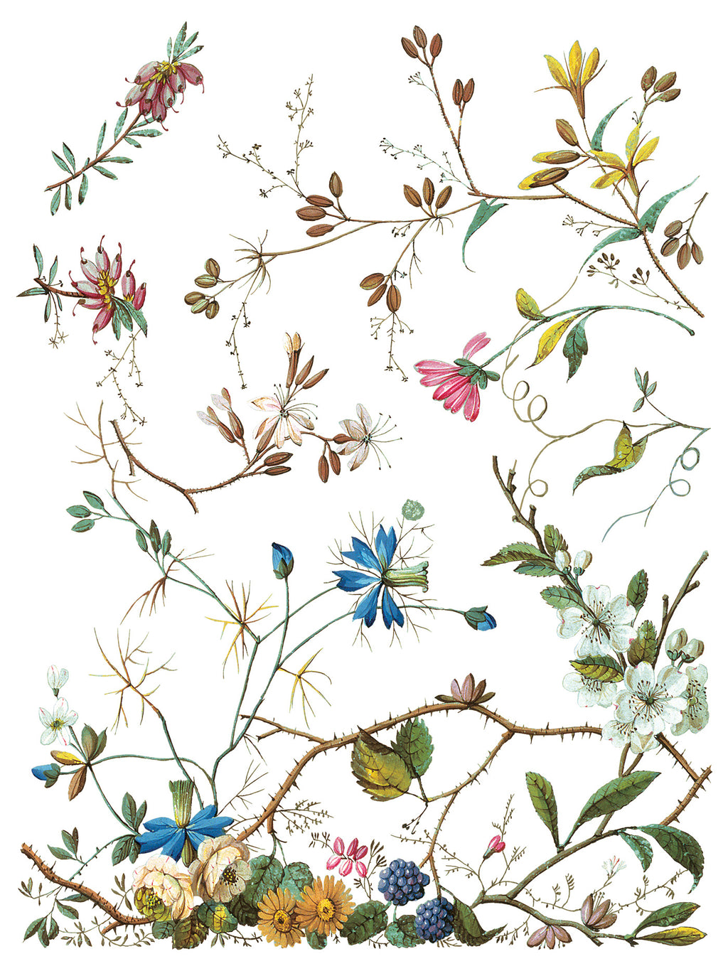 Lost Garden | Transfer | IOD Iron Orchid Designs