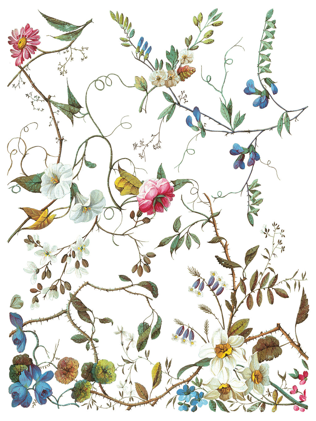 Lost Garden | Transfer | IOD Iron Orchid Designs