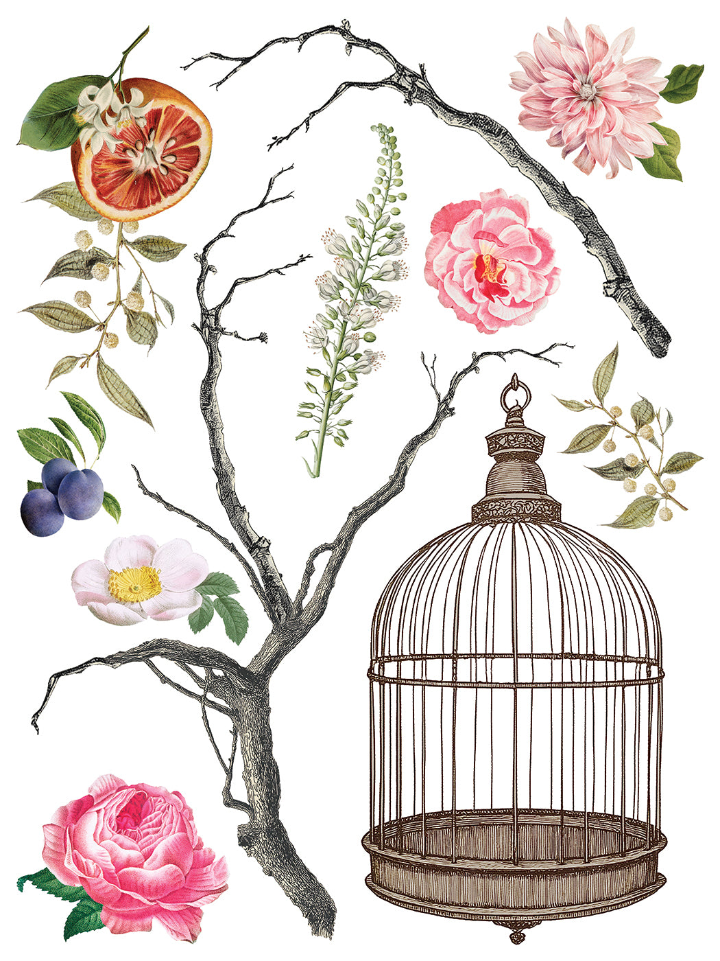 Menagerie | Transfer | IOD Iron Orchid Designs