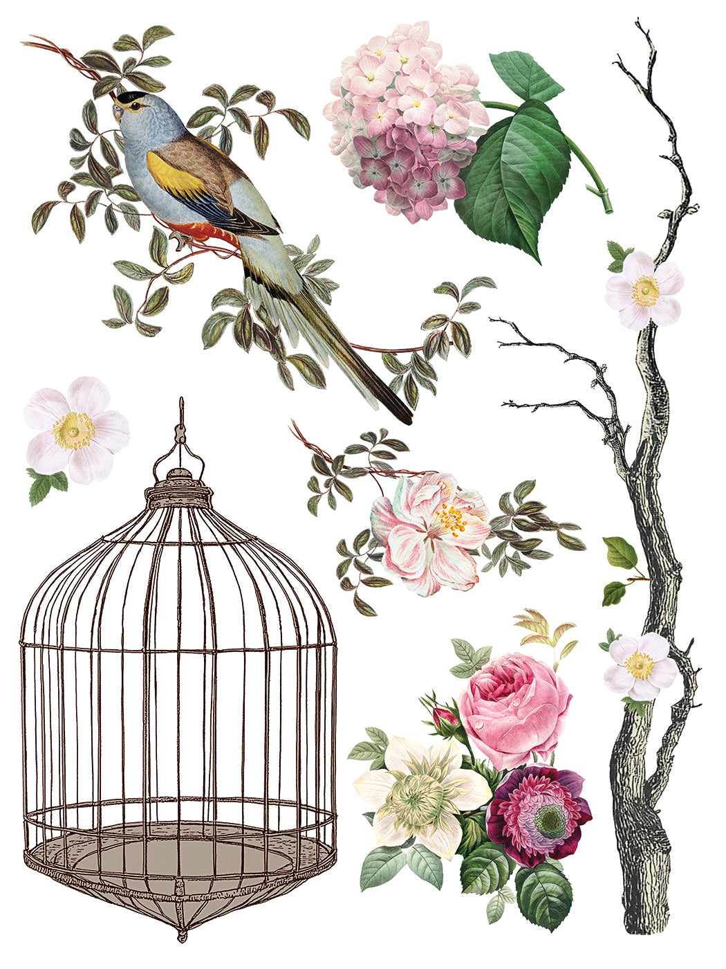 Menagerie | Transfer | IOD Iron Orchid Designs