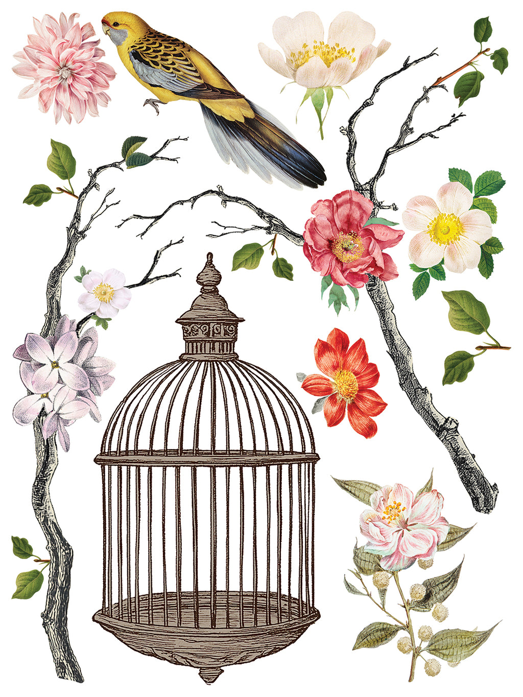 Menagerie | Transfer | IOD Iron Orchid Designs
