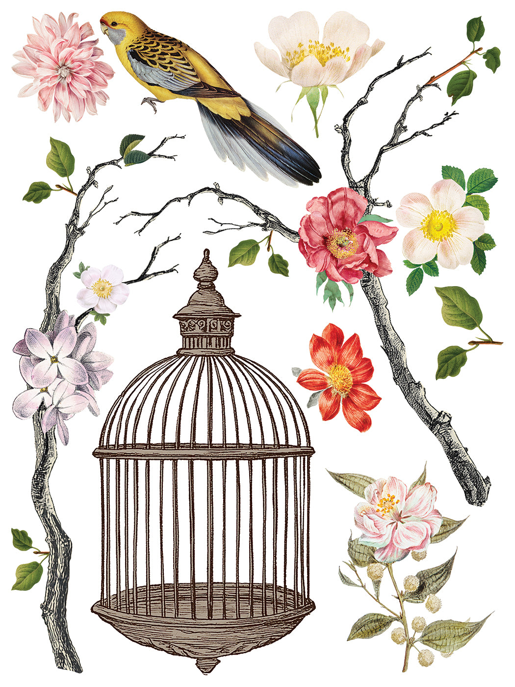 Menagerie | Transfer | IOD Iron Orchid Designs