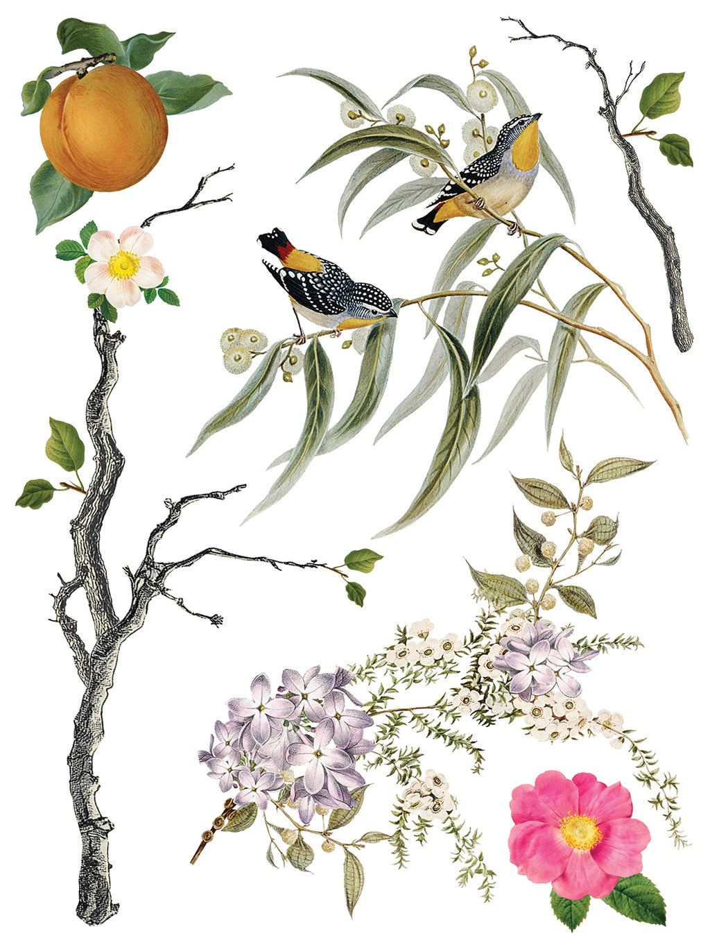 Menagerie | Transfer | IOD Iron Orchid Designs