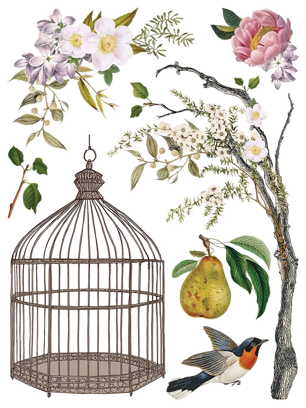 Menagerie | Transfer | IOD Iron Orchid Designs
