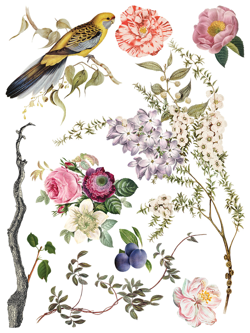 Menagerie | Transfer | IOD Iron Orchid Designs