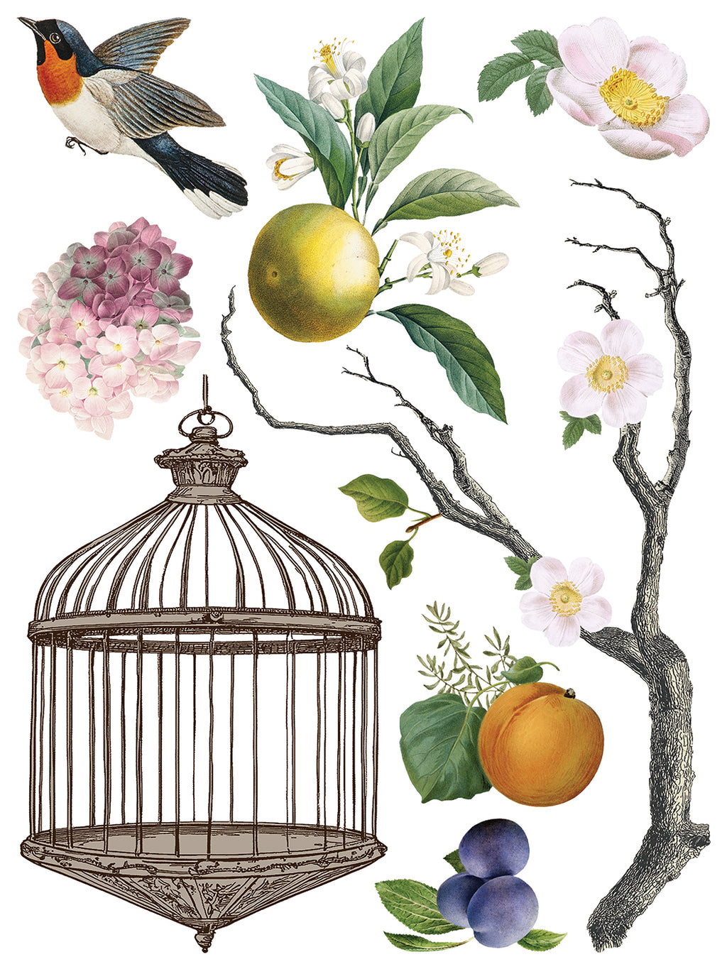 Menagerie | Transfer | IOD Iron Orchid Designs