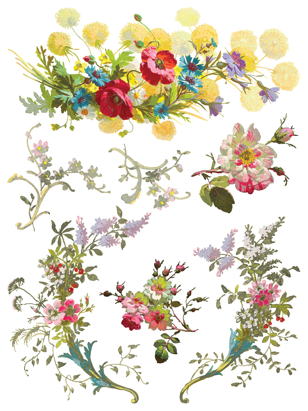 Saint Germain | Transfer | IOD Iron Orchid Designs