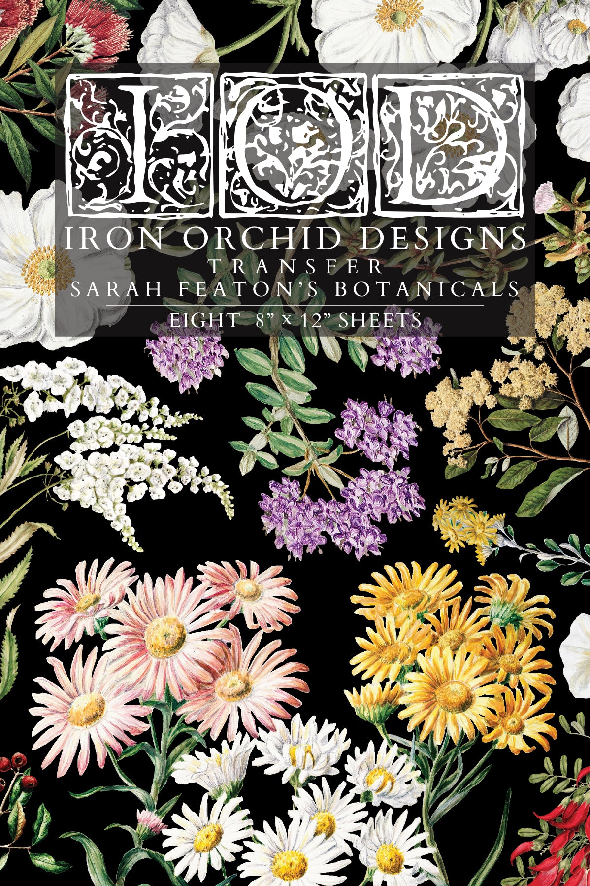 Sarah Featon's Botanicals | Transfer | IOD Iron Orchid Designs