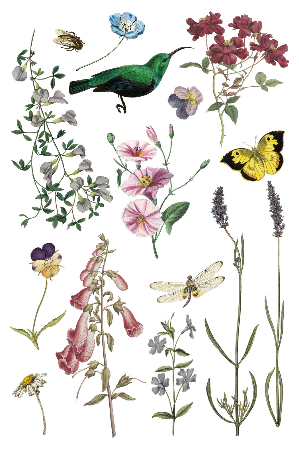 Wilde Bloemen | Transfer | IOD Iron Orchid Designs