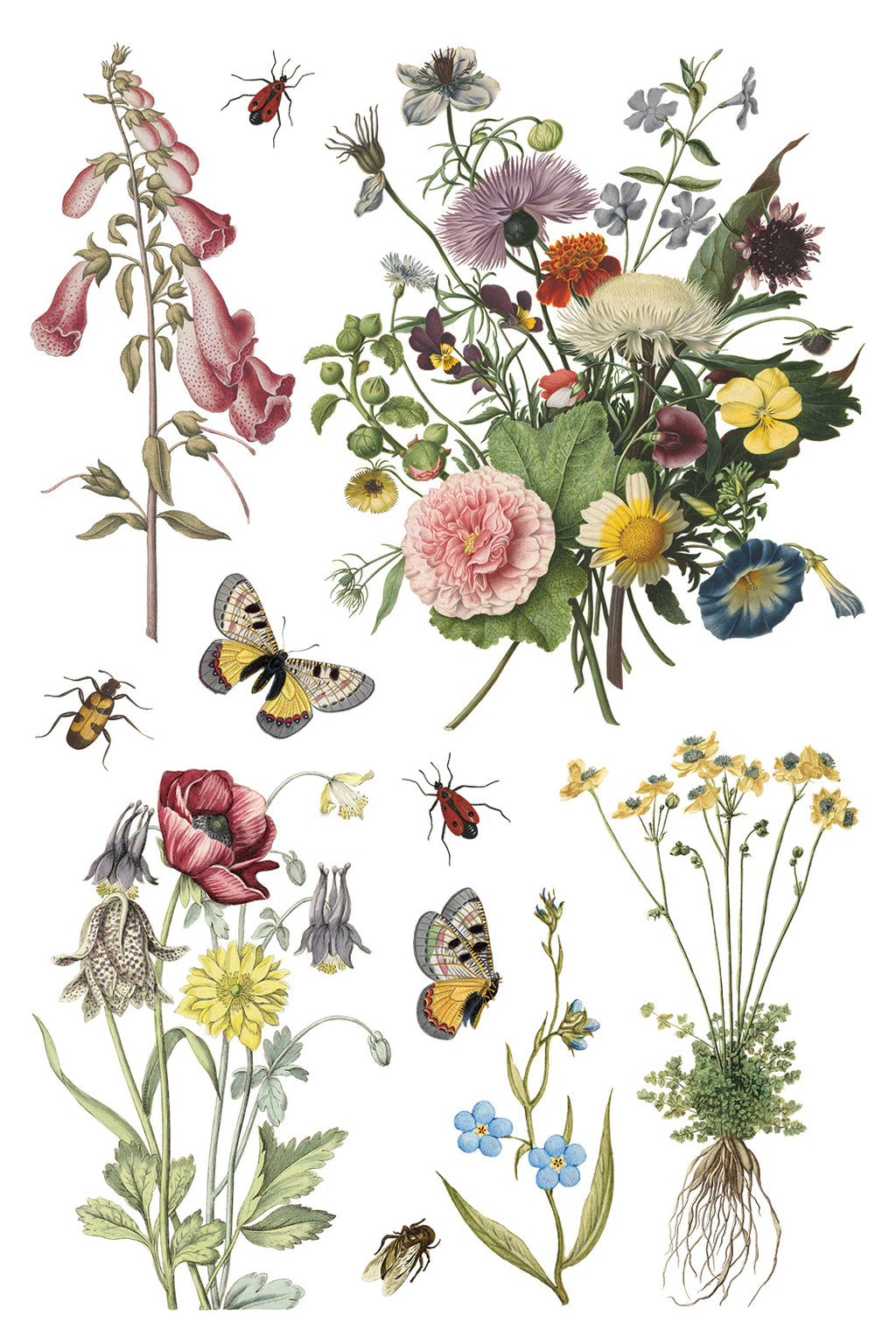 Wilde Bloemen | Transfer | IOD Iron Orchid Designs