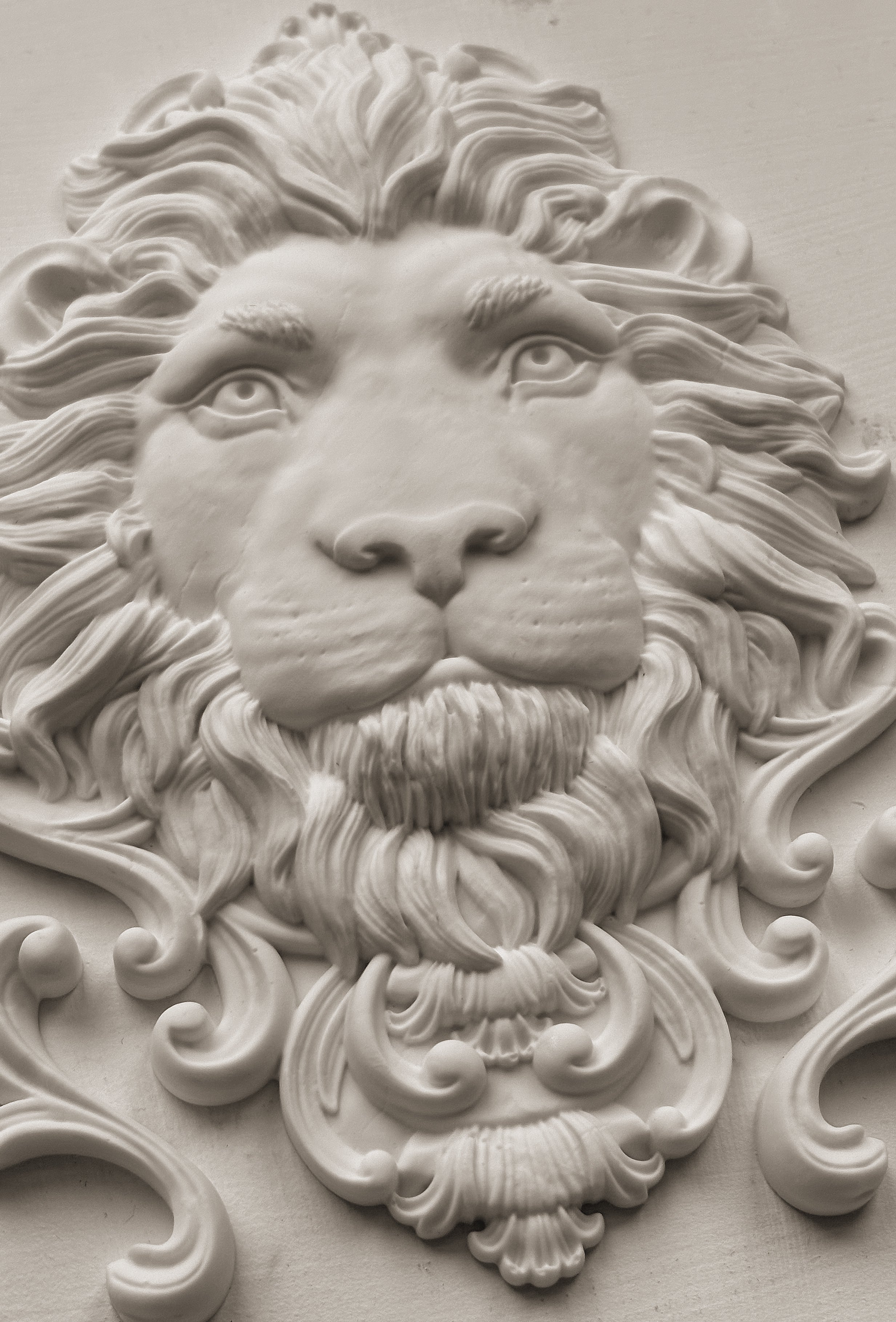 Leonidas | Mould | IOD Iron Orchid Designs
