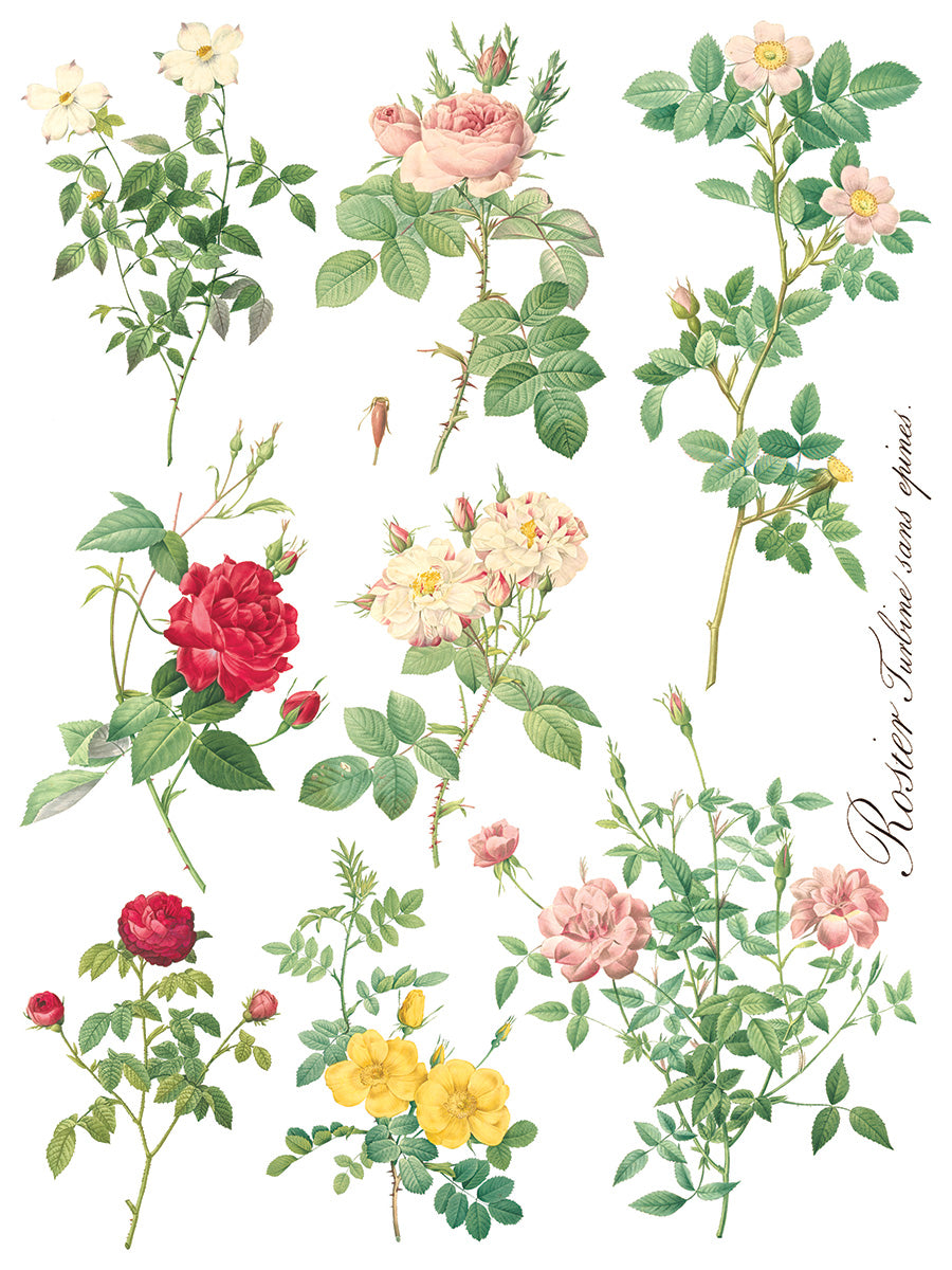 Rose Botanical | Transfer | IOD Iron Orchid Designs