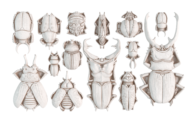 Specimens | Mould | IOD Iron Orchid Designs
