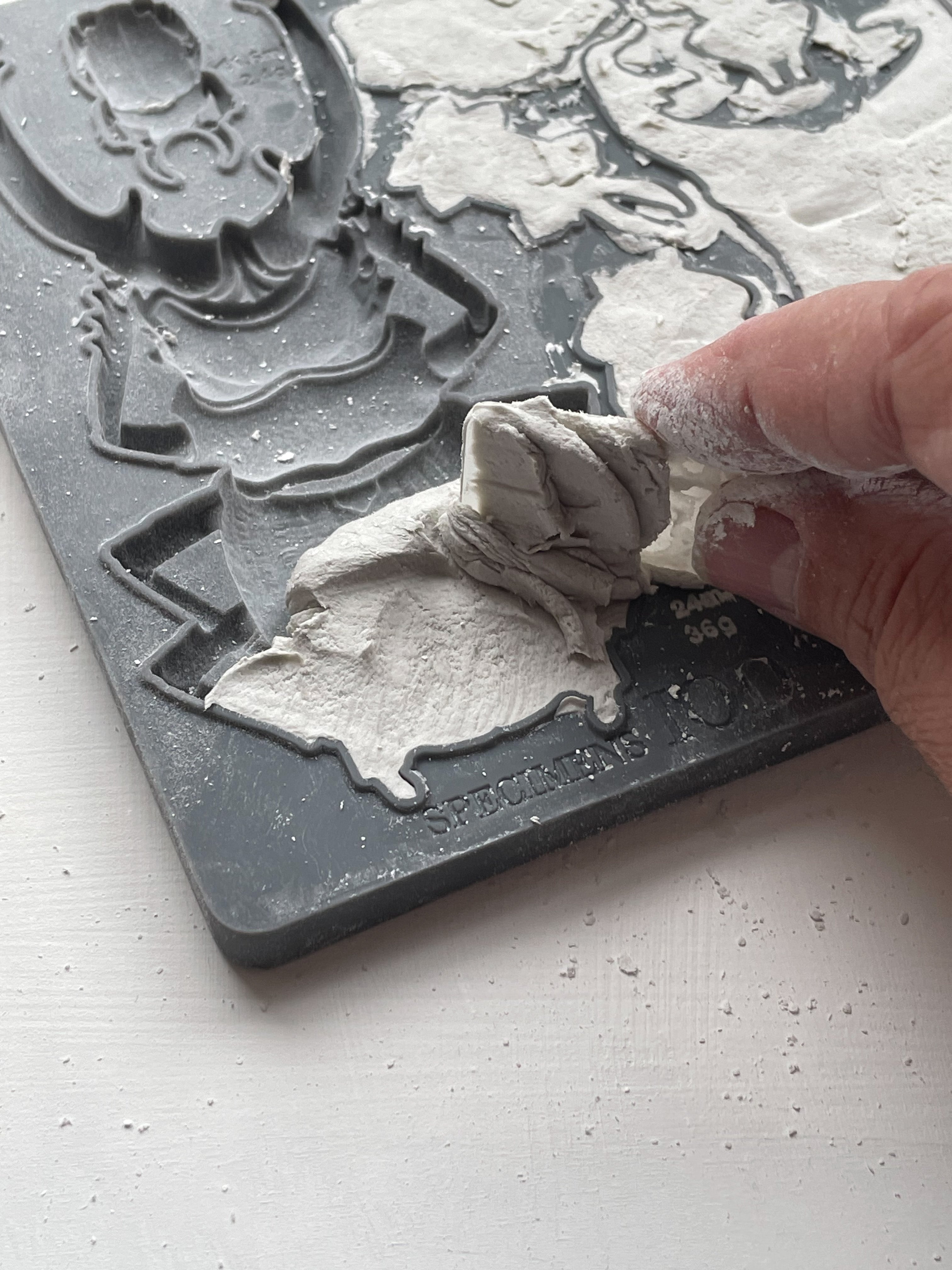 Specimens | Mould | IOD Iron Orchid Designs